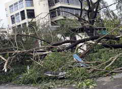 В двух районах Кузбасса ураган причинил значительный ущерб